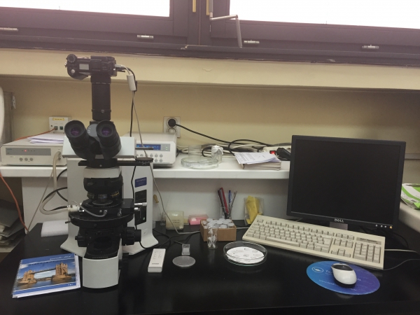 Polarizacijski optički mikroskop s gijačom klupom