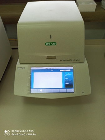 Real-Time PCR Sistem