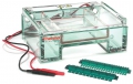 Mini Gel Electrophoresis Systems 