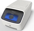 MiniAmp Plus Thermal Cycler