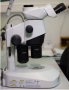 Stereomicroscope SZX16