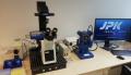 Atomic force microscope