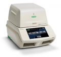 CFX96 Touch Real-Time PCR 