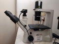 Trinocular inverted AE2000 microscope