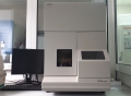 Single-capillary sequencer Applied BIosystems PRISM®310 Genetic Analyzer