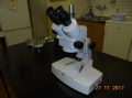 Lupa/Stereomicroscope