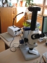 Stereo Microscope