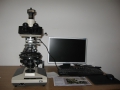 Polarizing Microscope