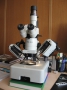 Stereo Microscope