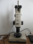 Stereo Microscope