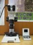 Stereo Microscope