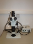 Research stereo microscope