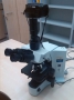 TF Microscope BX 41TF