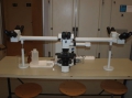 Research stereo microscope