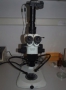 Research stereo microscope