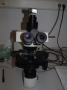 Research stereo microscope and camera