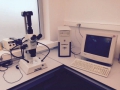 Research stereo microscope with camera