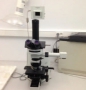 Research stereo microscope with camera