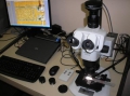 Optical Stereomicroscope